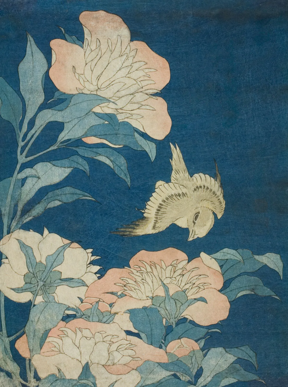 Stampa di Hokusai: peonie rosa e un uccellino su fondo blu